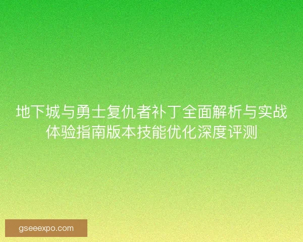 地下城与勇士复仇者补丁全面解析与实战体验指南版本技能优化深度评测